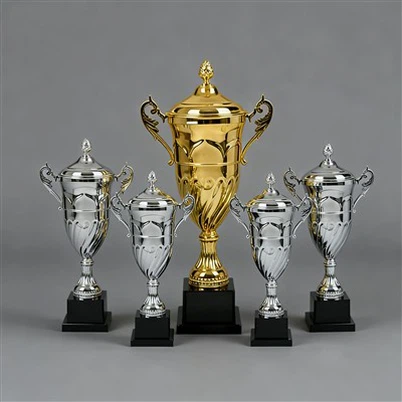 Icikopo icikulu ica Silver